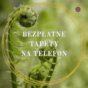 Bezpłatne tapety na telefon
