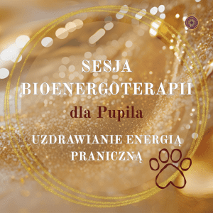 Bioenergia - sesja dla zwierząt