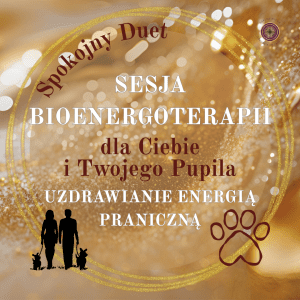 Bioenergia - spokojny duet dla ciebie i zwierzęcia