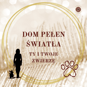 dom pełen światła bioenergoterapia ty i twoje zwierzę